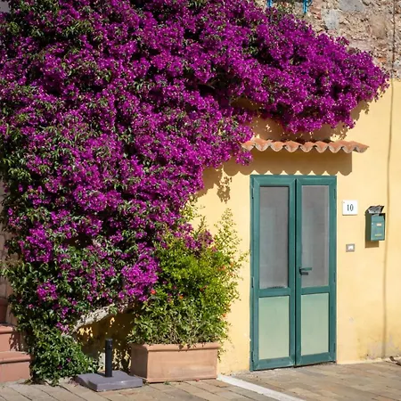 公寓 Guardabassi Collection Charming House Piazza Indipendenza 波尔图·埃尔科莱
